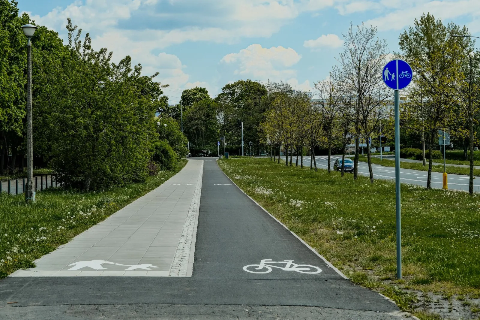 Explore a serene bicycle lane surrounded by lush greenery on a sunny day.